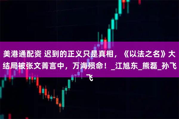 美港通配资 迟到的正义只是真相，《以法之名》大结局被张文菁言中，万海殒命！_江旭东_熊磊_孙飞